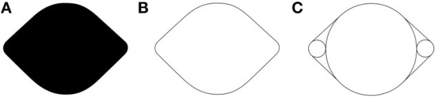 fnhum-09-00095-g0001